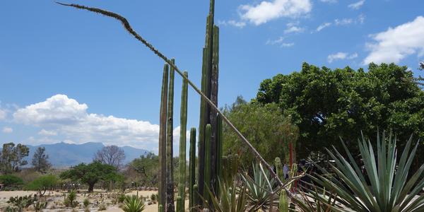 288-Mitla 21