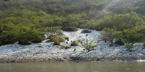 372-kaňon Sumidero 1