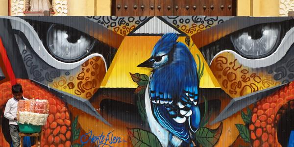 393-San Cristobal de las Casas 3