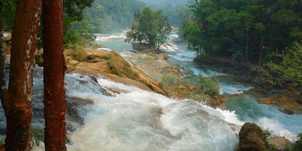 429-Agua azul 10