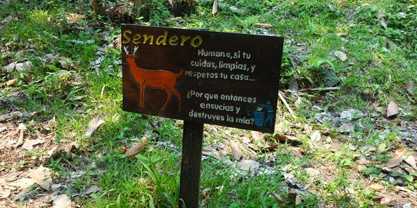 432-Agua azul 13