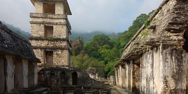 480-Palenque 10
