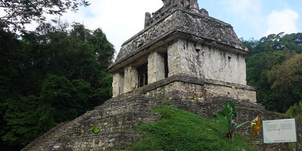 489-Palenque 20