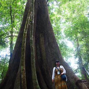495-Palenque 32a