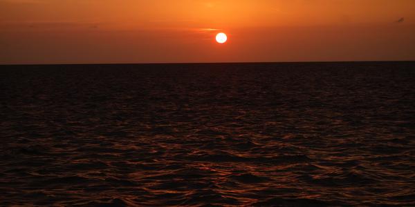 522-Campeche 9