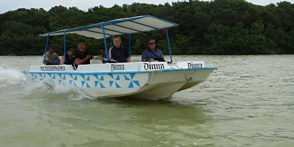 594-BR Celestún 30