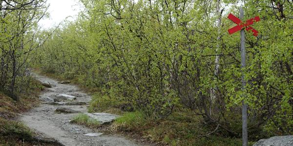 086-NP Abisko