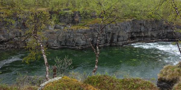 087-NP Abisko