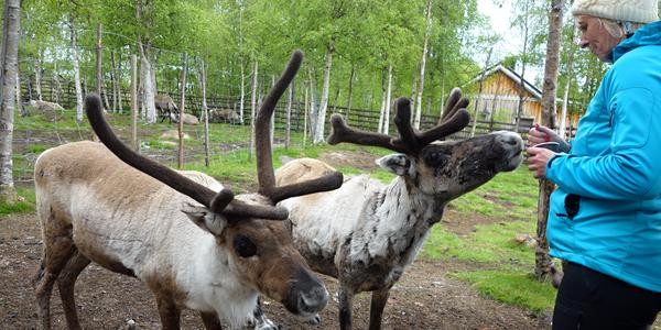 114-Jukkasjarvi, Siida