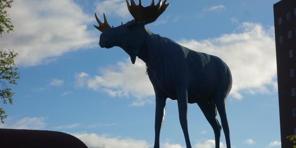123-Kiruna, symbol města