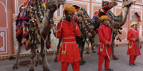041. Jaipur, královská garda