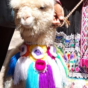 063. Pisac, nazdobená lama
