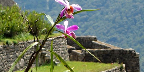 108. Machu Picchu