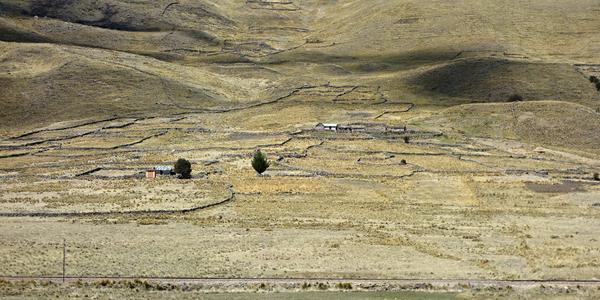 141. Vysokohorská puna cestou do Puno 3
