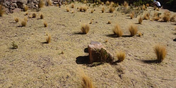 200. Titicaca, ostrov Taquile