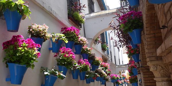076-Cordoba a její pátia