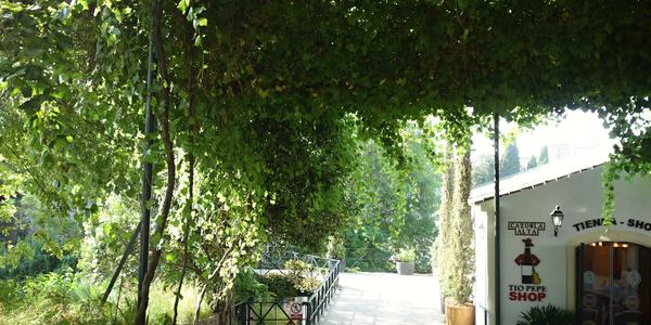 048. Jerez de la Frontera, v areálu Tío Pepe