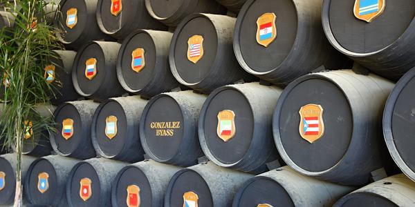 049. Jerez de la Frontera, ve sklepích Tío Pepe