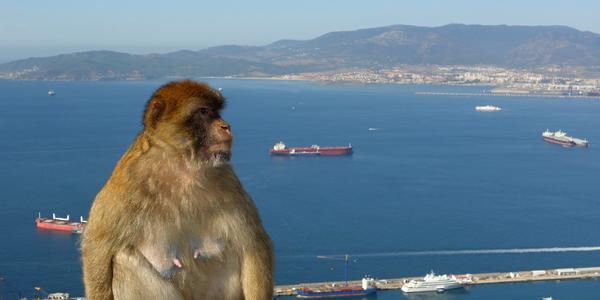 077. Gibraltar, Algeciraský záliv
