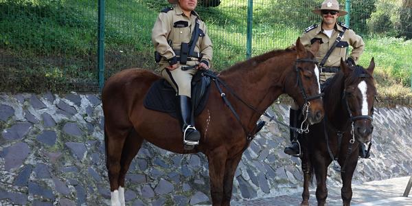 045. Policie v Cholule