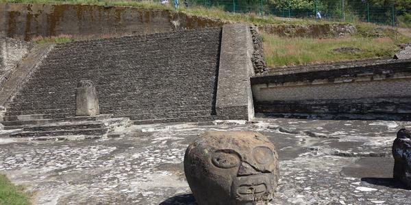 046. Podivná hlava kobylky, Cholula