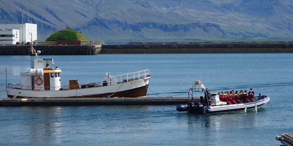 023-Reykjavík, plavba za pozorováním velryb