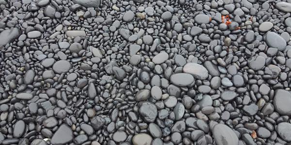 044-Reykjanes, na pláži