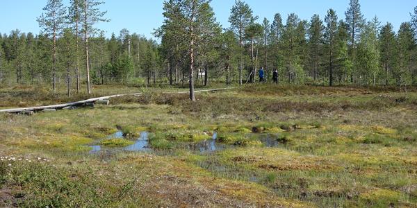 013-Rovaniemi, na polárním kruhu
