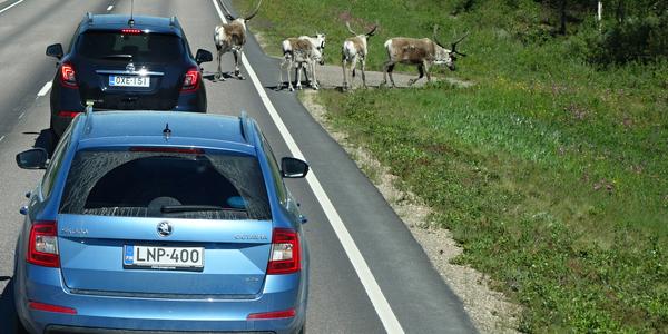 018. Cesta na sever