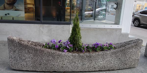 050. Tromso, na ulici