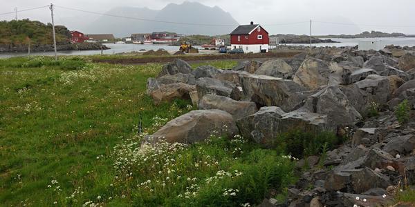 069. Lofoty, Laukvik