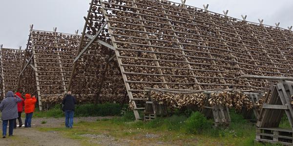 070. Lofoty, Laukvik