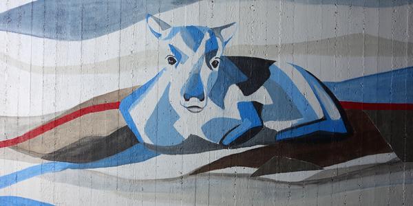 102. NP Abisko, podchod pod silnicí 4