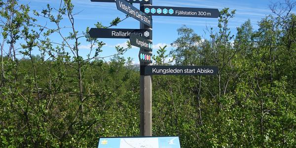 103. NP Abisko