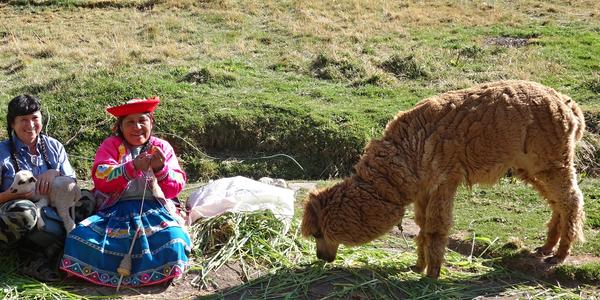 011. Venkov u Tambo Machay