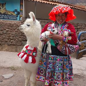083. Pisac, na tržišti