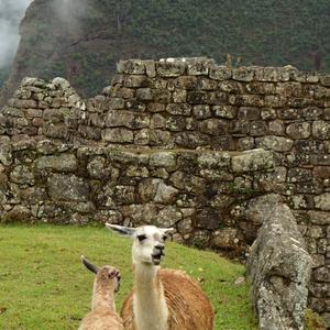 134. Machu Picchu