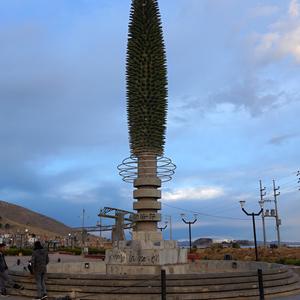 217. Puno, to má být zřejmě Puya raimondii