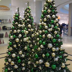 40-Advent v Drážďanech