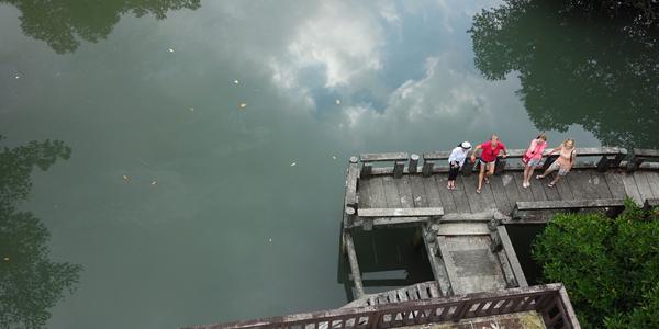 263. Ko Chang, výlet okolo ostrova, mangrove