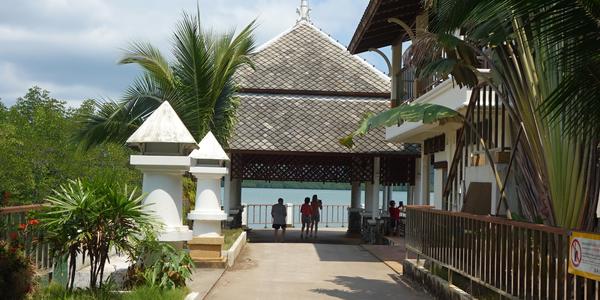 268. Ko Chang, výlet okolo ostrova, mangrove
