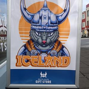 81-Reykjavík, pozvánka na příště