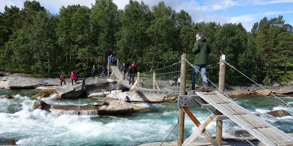 007- Lonselva