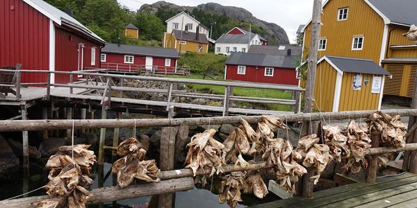 079- Lofoty, Nusfjord