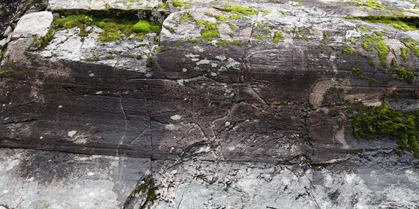 133- Snasa Bolereinen, skalní prehistorická rytina soba