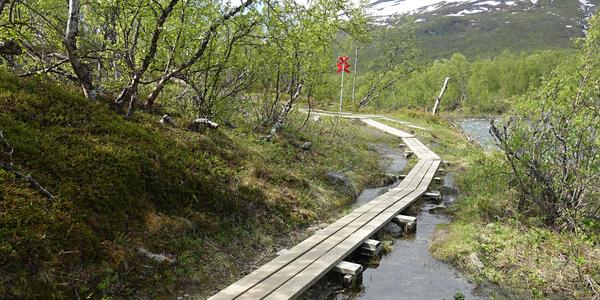 02. NP Abisko