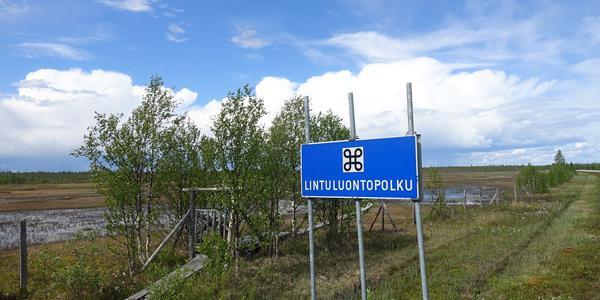 20. Lintuluontopolku, vycházka do bažin 1