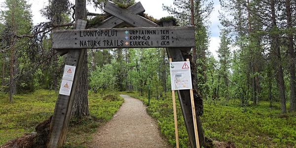 22. NP Urho Kekonnena 3