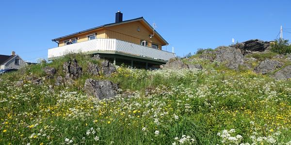 51. Laukvik