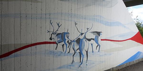 78. NP Abisko